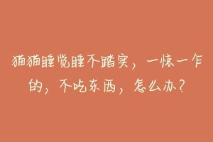 猫猫睡觉睡不踏实,一惊一乍的,不吃东西,怎么办?-动物百科