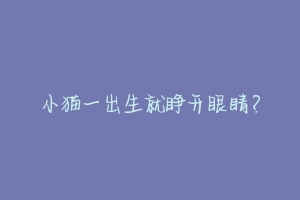 小猫一出生就睁开眼睛?-动物百科