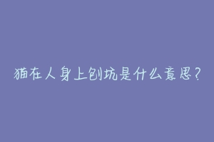 猫在人身上刨坑是什么意思?-动物百科