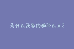 为什么我家的猫那么丑?-动物百科