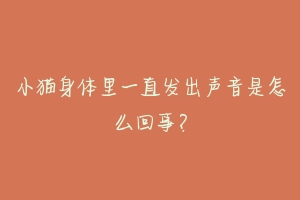 小猫身体里一直发出声音是怎么回事?-动物百科