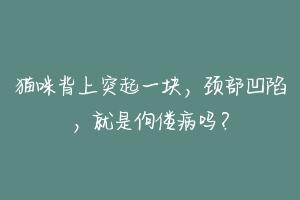 猫咪背上突起一块,颈部凹陷,就是佝偻病吗?-动物百科