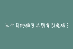 三个月的猫可以用牵引绳吗?-动物百科