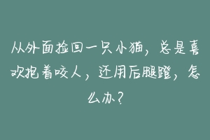 从外面捡回一只小猫,总是喜欢抱着咬人,还用后腿蹬,怎么办?-动物百科