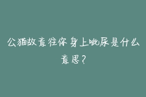 公猫故意往你身上呲尿是什么意思?-动物百科