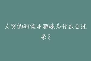 人哭的时候小猫咪为什么会过来?-动物百科
