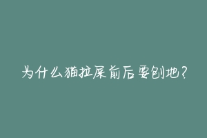 为什么猫拉屎前后要刨地?-动物百科