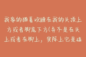 我家的猫喜欢睡在我的头顶上方或者脚底下方(并不是在头上或者在脚上,实际上它是碰不到我的)?-动物百科