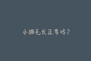 小猫毛长正常吗?-动物百科
