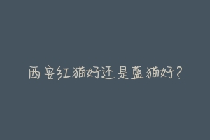 西安红猫好还是蓝猫好?-动物百科