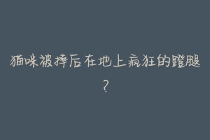 猫咪被摔后在地上疯狂的蹬腿?-动物百科