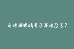 美短猫眼睛有眼屎啥原因?-动物百科