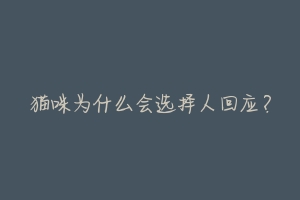 猫咪为什么会选择人回应?-动物百科