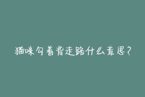猫咪勾着背走路什么意思?-动物百科