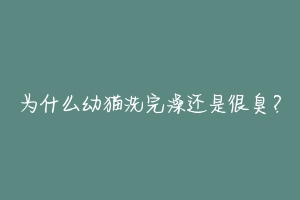 为什么幼猫洗完澡还是很臭?-动物百科