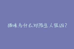 猫咪为什么对陌生人很凶?-动物百科