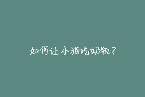 如何让小猫吃奶瓶?-动物百科