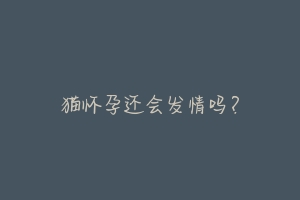 猫怀孕还会发情吗?-动物百科