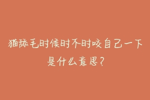猫舔毛时候时不时咬自己一下是什么意思?-动物百科
