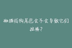 揪猫或狗尾巴会不会导致它们拉稀?-动物百科