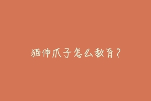 猫伸爪子怎么教育?-动物百科
