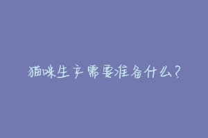 猫咪生产需要准备什么?-动物百科