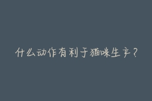 什么动作有利于猫咪生产?-动物百科
