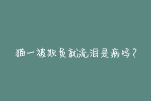 猫一被欺负就流泪是病吗?-动物百科