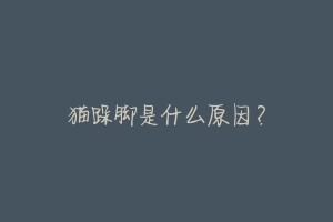 猫跺脚是什么原因?-动物百科
