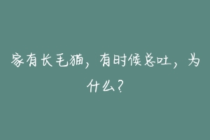 家有长毛猫,有时候总吐,为什么?-动物百科