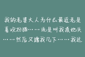 我的老婆大人为什么最近老是喜欢扮猫……说是叫我摸她头……然后又蹭我几下……我这个当男人怎么办?-动物百科