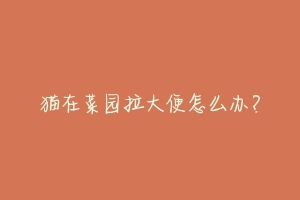 猫在菜园拉大便怎么办?-动物百科
