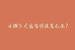 小猫下犬齿变形该怎么办?-动物百科
