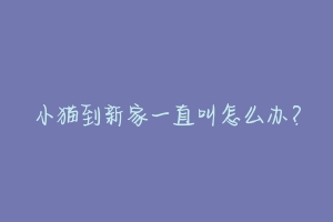 小猫到新家一直叫怎么办?-动物百科