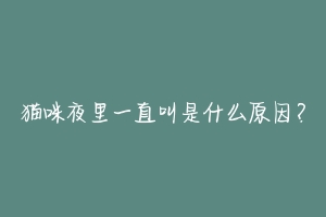 猫咪夜里一直叫是什么原因?-动物百科