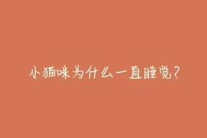 小猫咪为什么一直睡觉?-动物百科