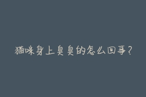 猫咪身上臭臭的怎么回事?-动物百科