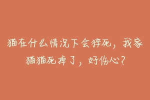 猫在什么情况下会猝死,我家猫猫死掉了,好伤心?-动物百科