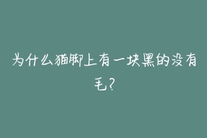 为什么猫脚上有一块黑的没有毛?-动物百科