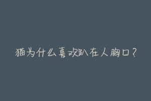 猫为什么喜欢趴在人胸口?-动物百科
