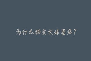 为什么猫会长媒婆痣?-动物百科