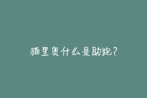 猫里奥什么是助跑?-动物百科