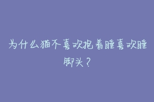 为什么猫不喜欢抱着睡喜欢睡脚头?-动物百科