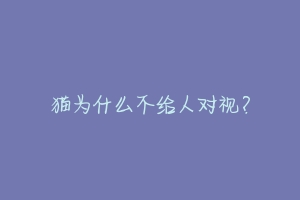 猫为什么不给人对视?-动物百科