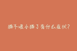 猫不喂小猫了有什么症状?-动物百科