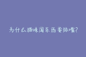 为什么猫咪闻东西要舔嘴?-动物百科