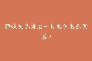 猫咪洗完澡后一直甩头怎么回事?-动物百科