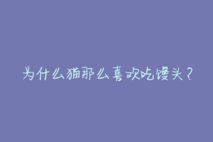 为什么猫那么喜欢吃馒头?-动物百科