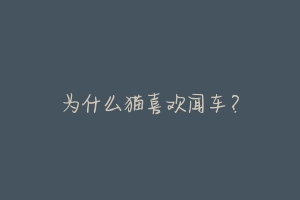 为什么猫喜欢闻车?-动物百科
