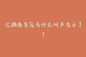 公猫绝育后为什么叫声变小了?-动物百科